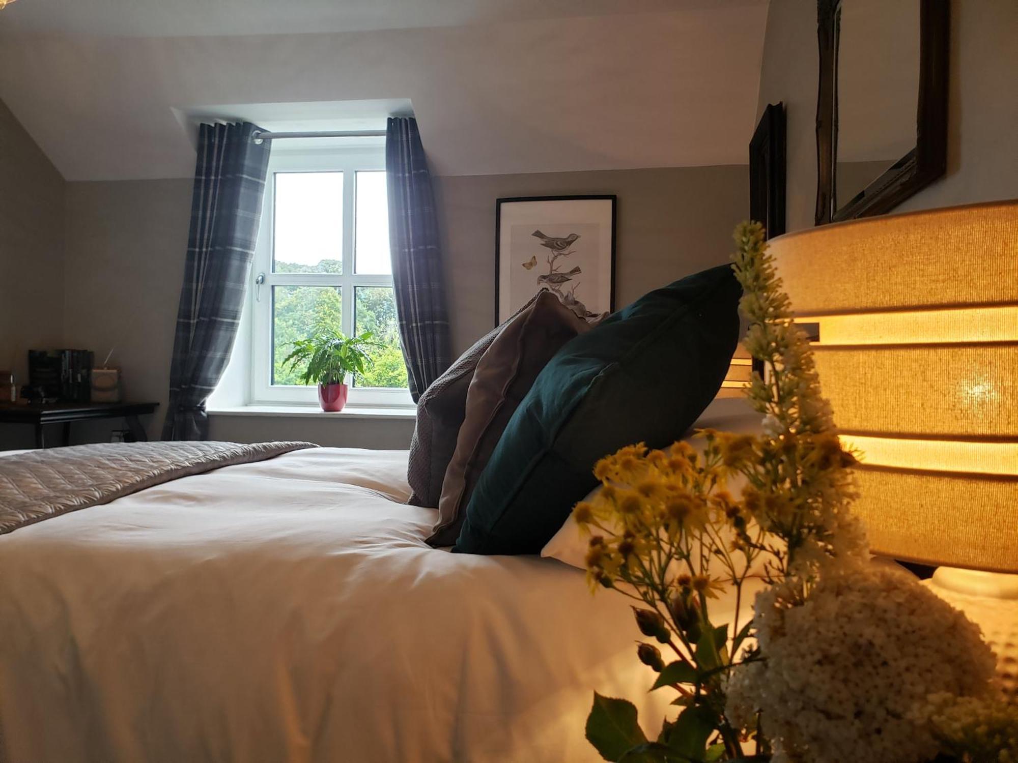 Bryansford Cottage Экстерьер фото